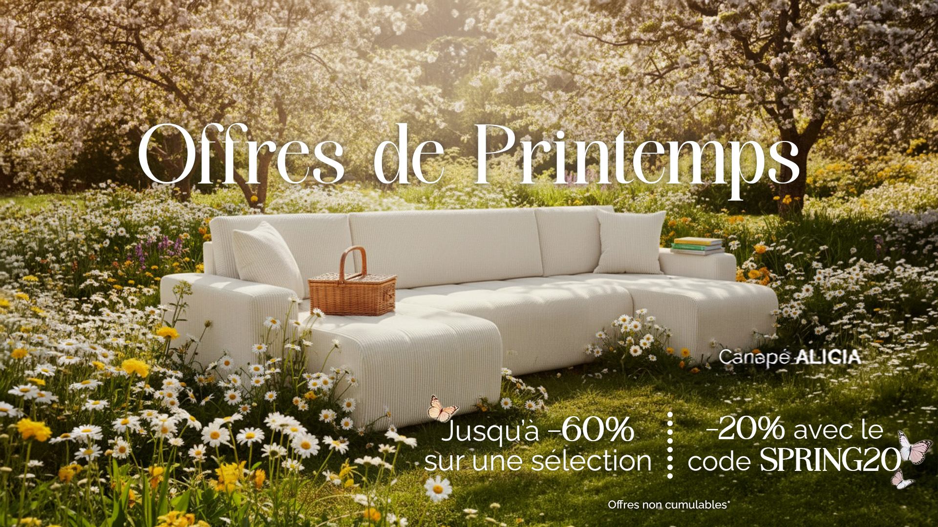 offres-promos-site
